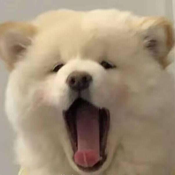 DD.系欧尼酱
