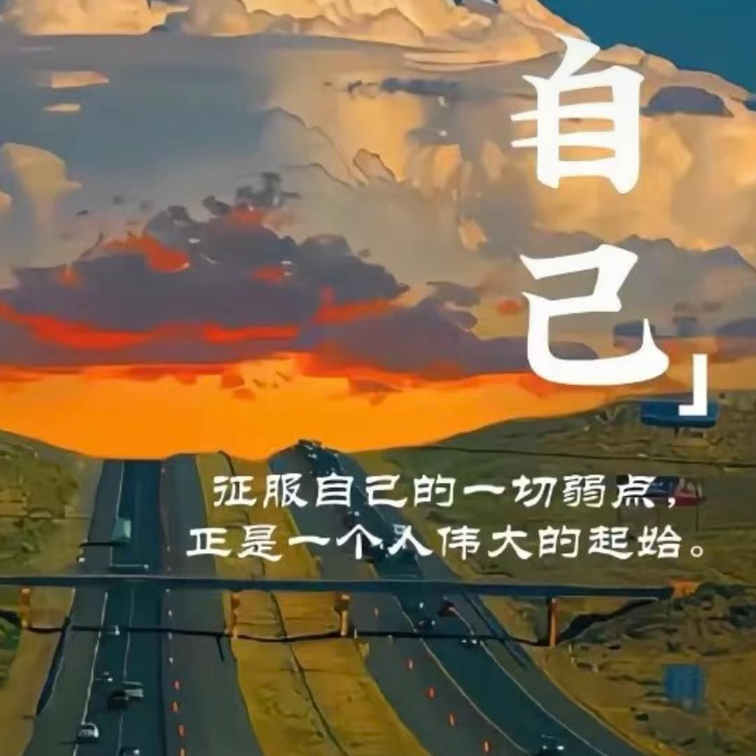 阿亮礼品花云池