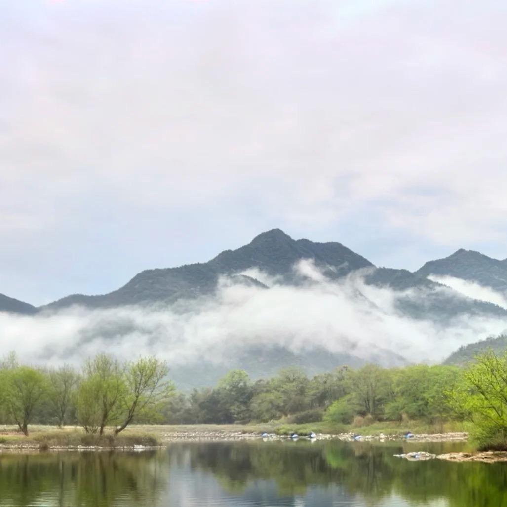王小婉
