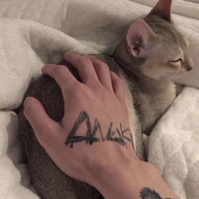Hui