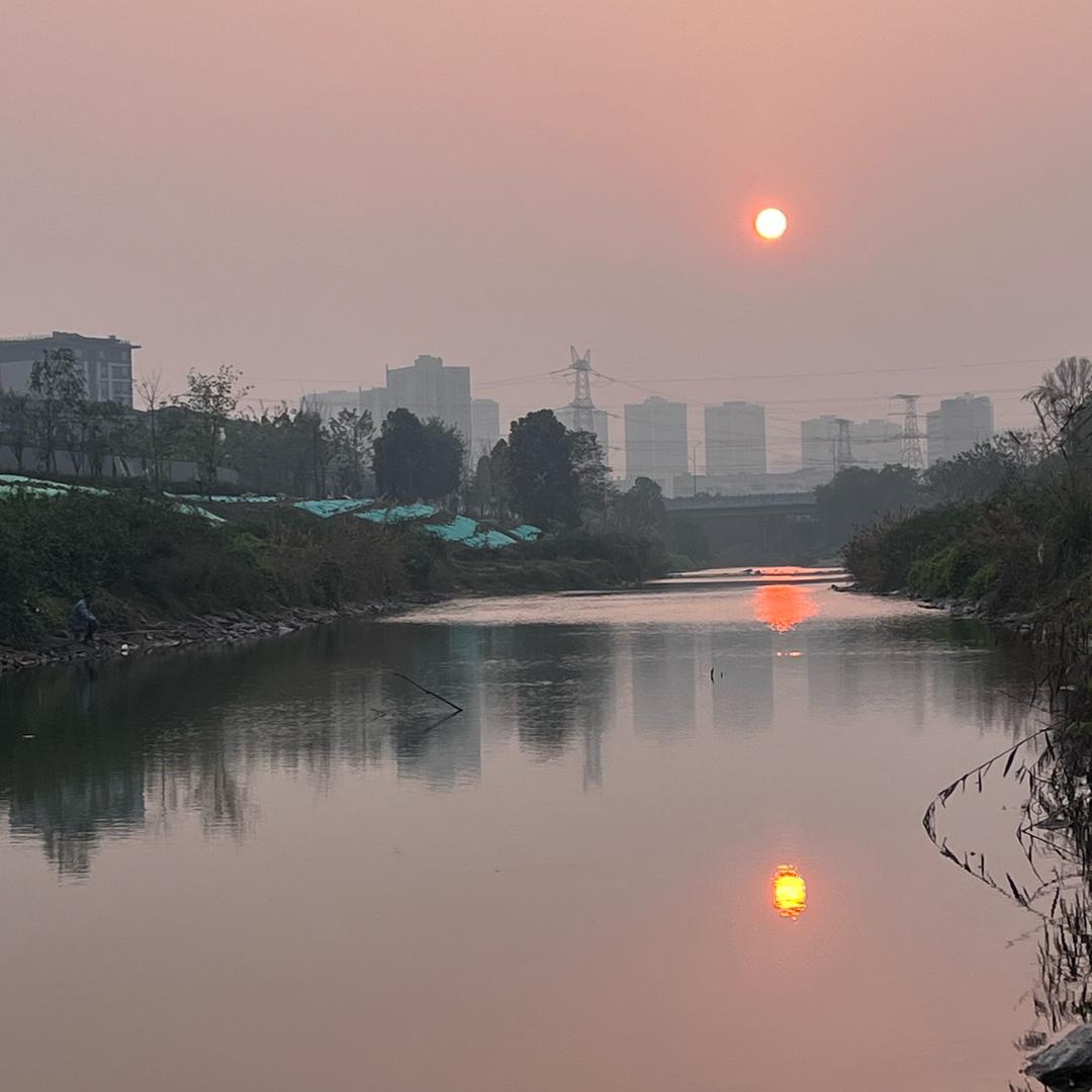 H一护