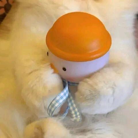 TiAmo.