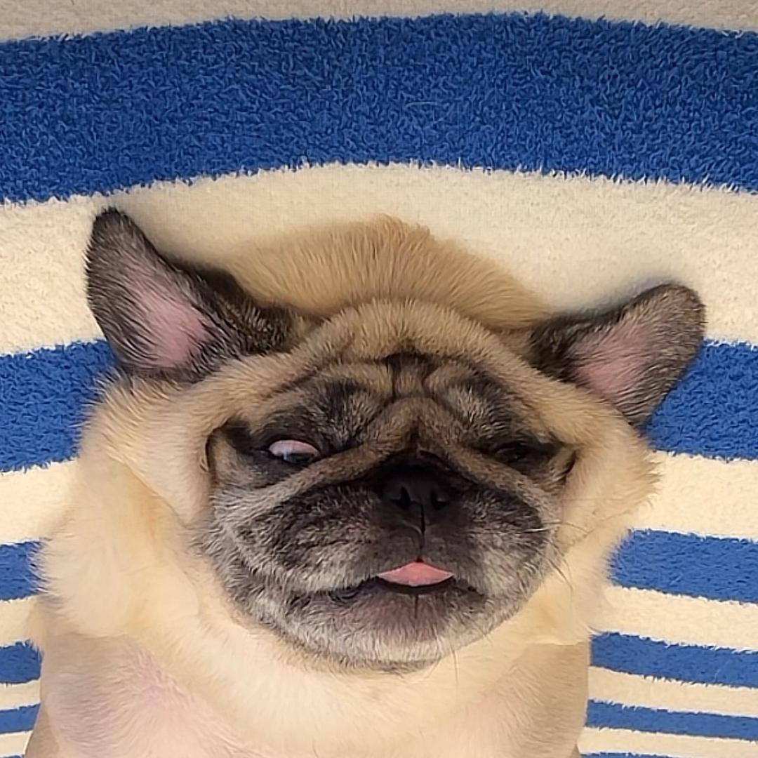 重生之我在蓝星练肌肉