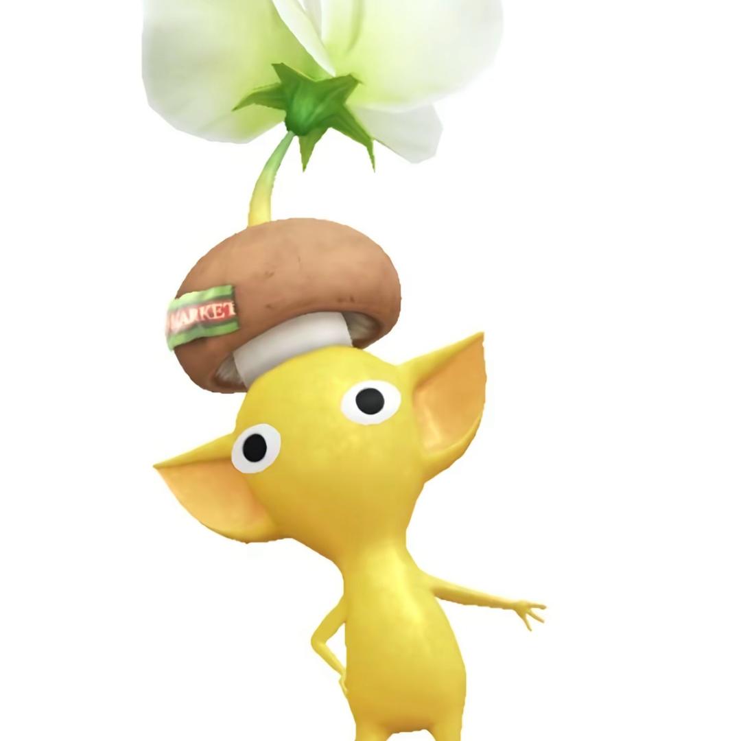 妈妈说书里有黄金💸