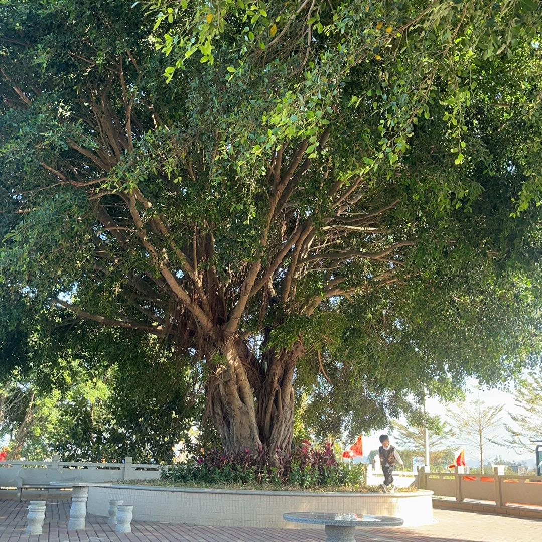 互粉互赞必回关