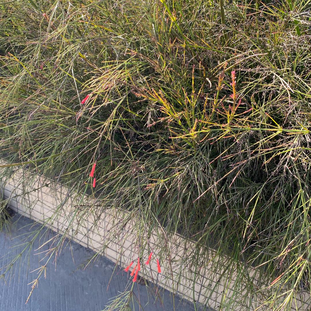 孤独