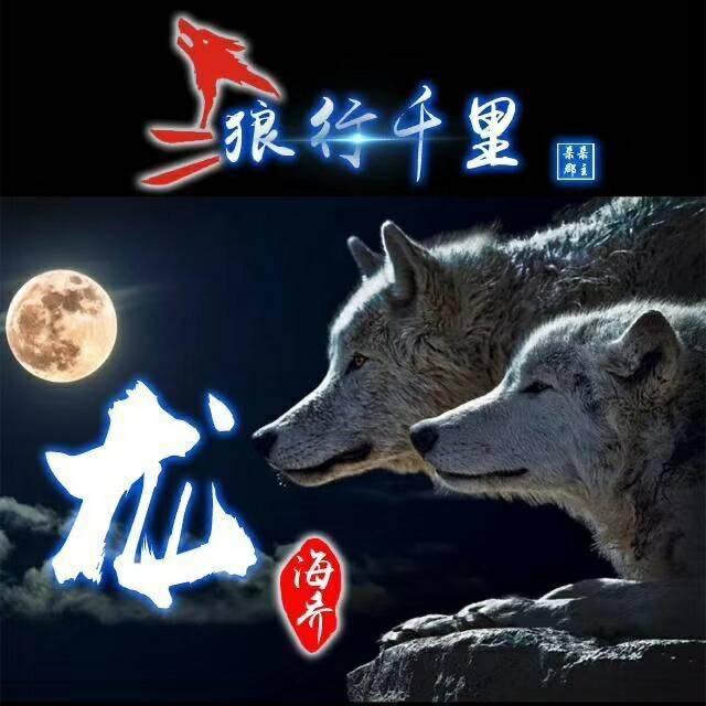 西北的狼.