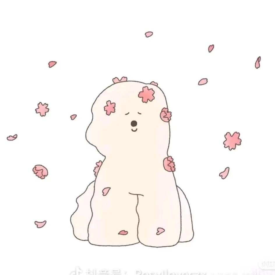 小马宝莉🥨