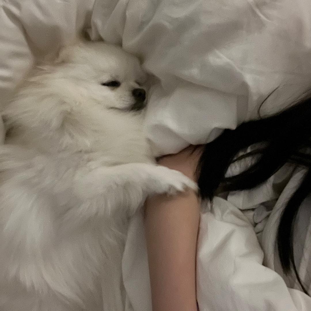 瓜籽籽籽_