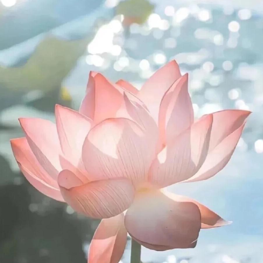 妙众百货