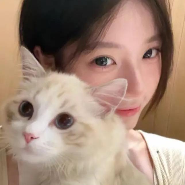 星光短剧