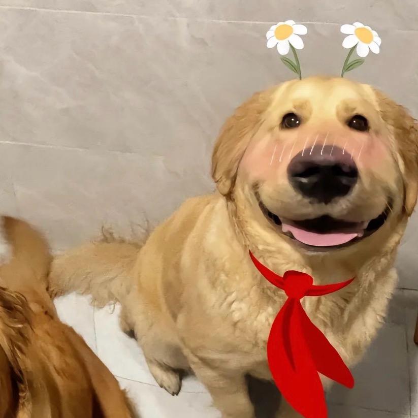 西瓜皮皮