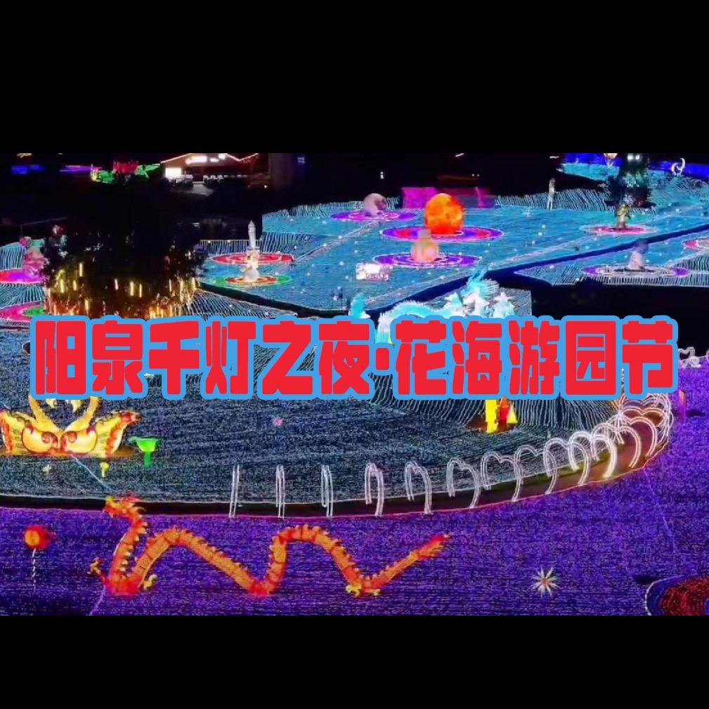 阳泉.千灯之夜花海游园