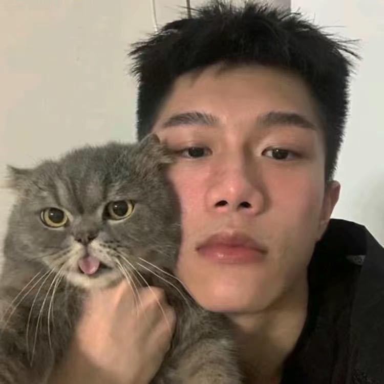 不做梵高