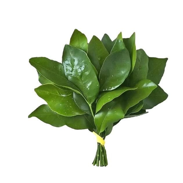 筋斗云煎饼果子
