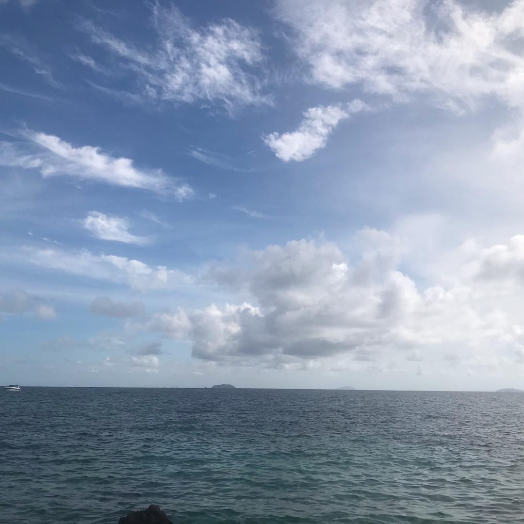 T。