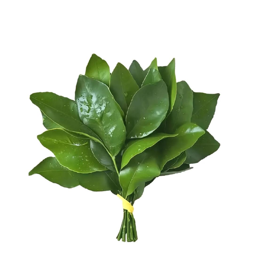 你脸红什么