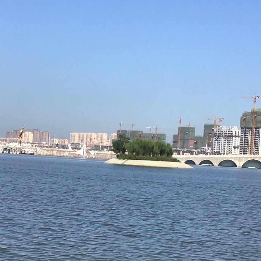 阿鹿