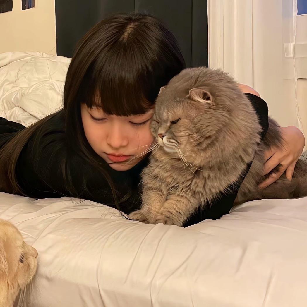 舒苒