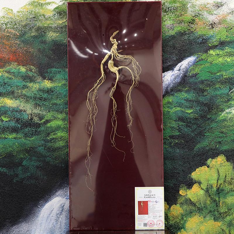 尚德濛江吉源滋补养生专卖店