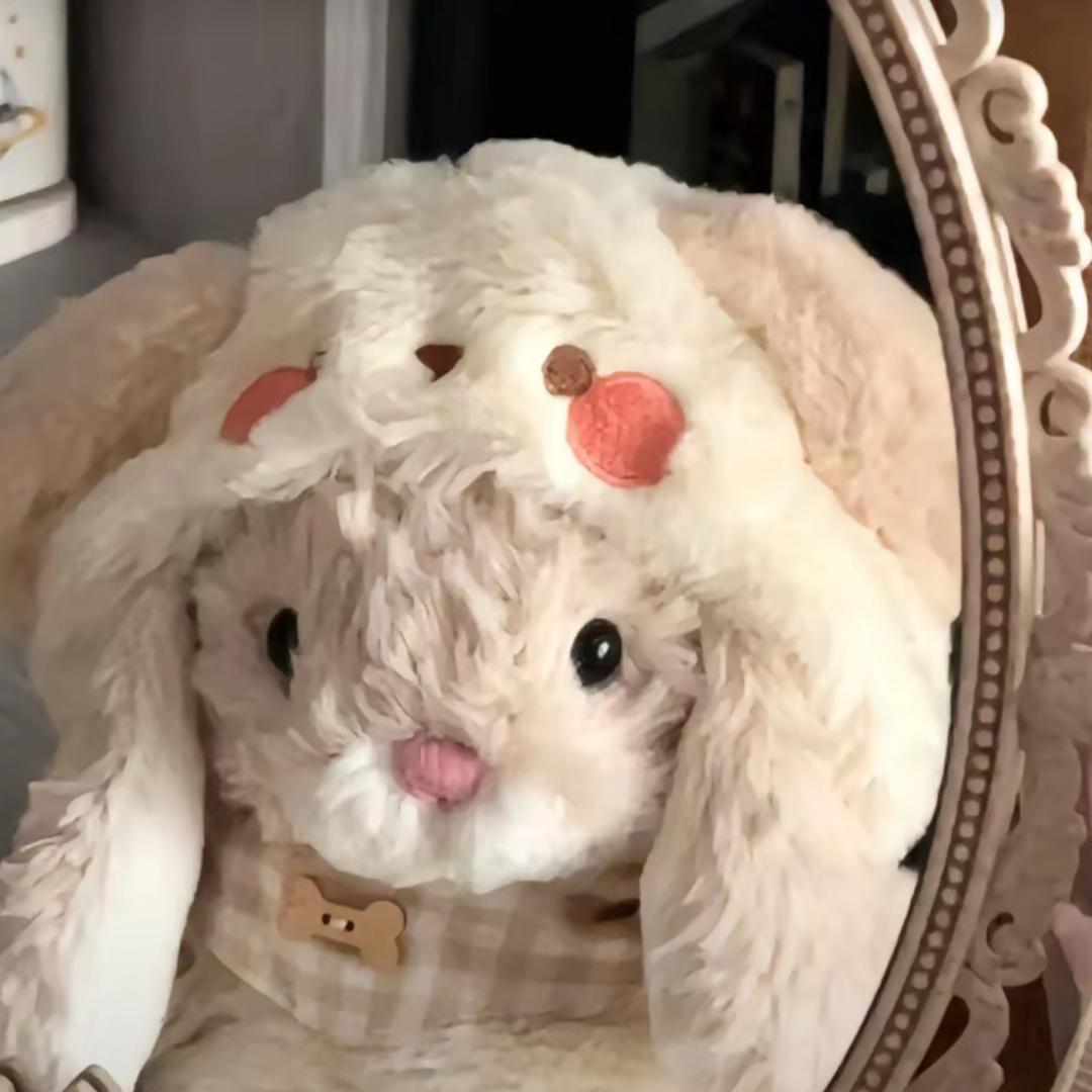 桉心💕