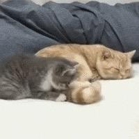 浮生若梦＂