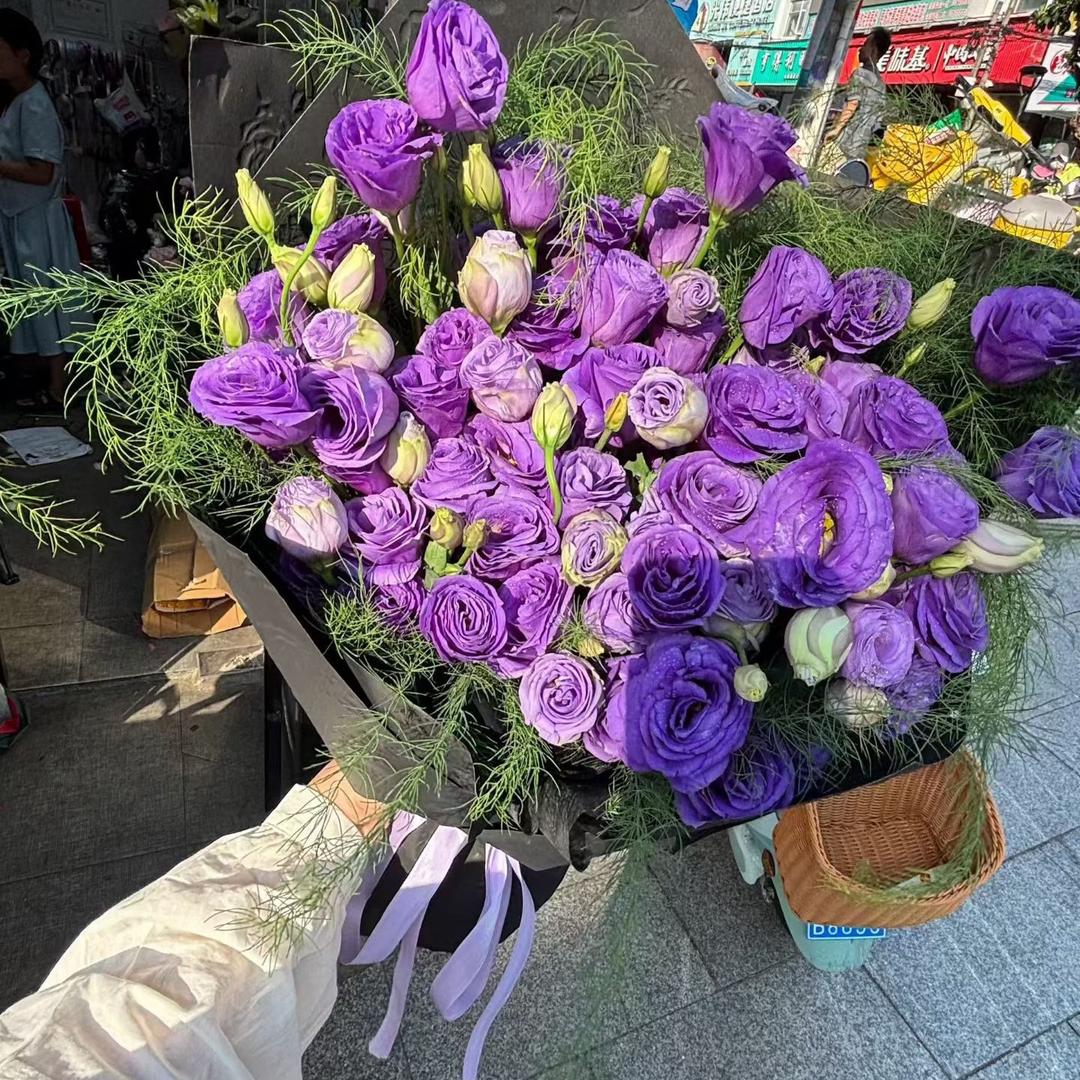 @晓晓