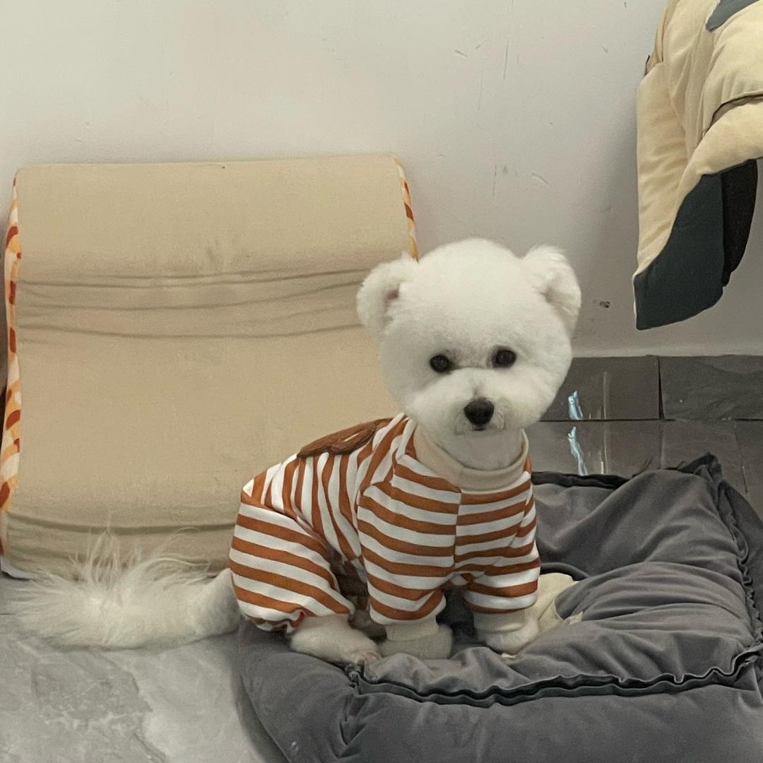 @两句话^