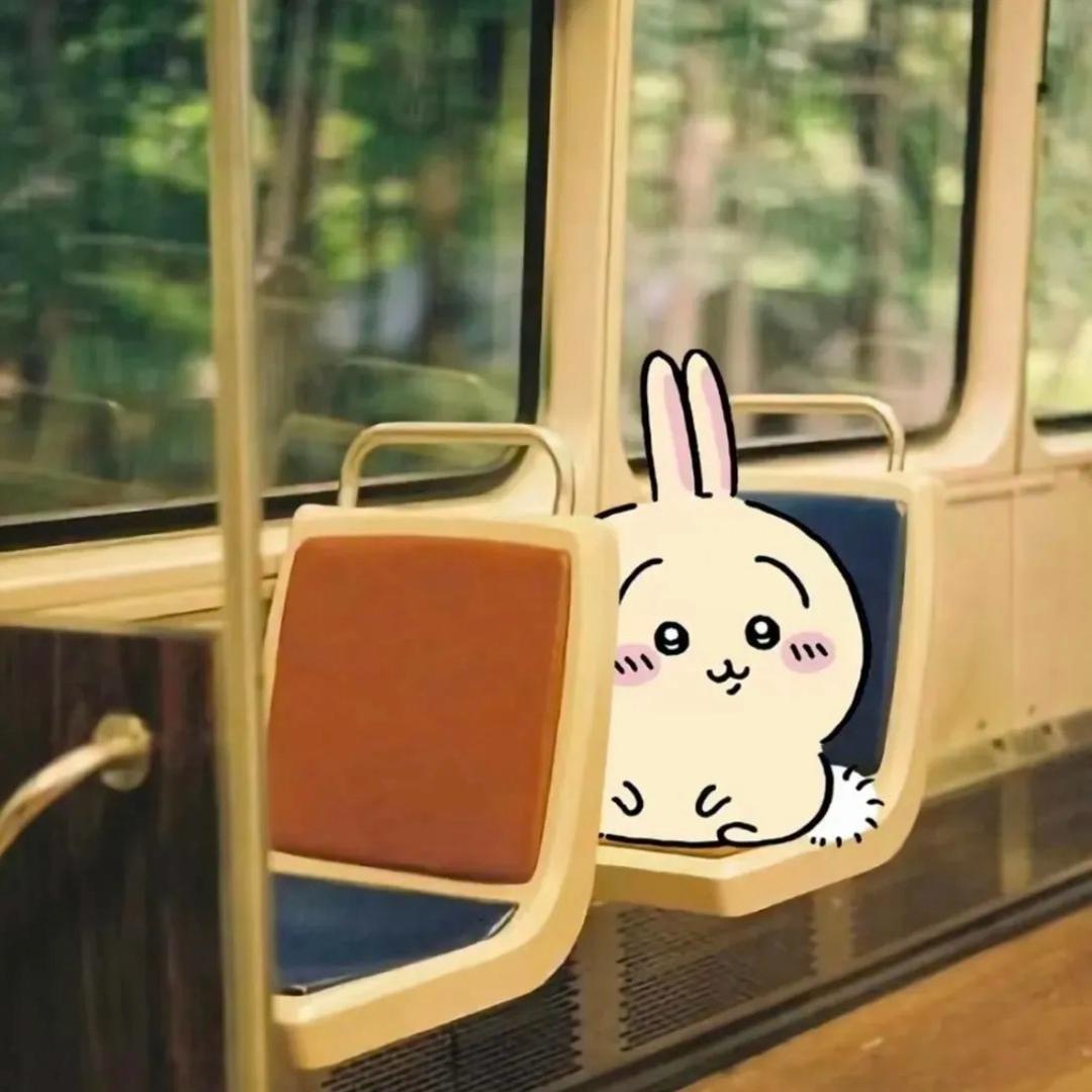 小熊大人