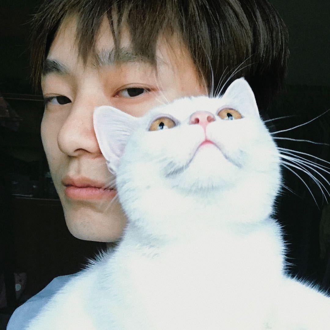 愁愁的愁
