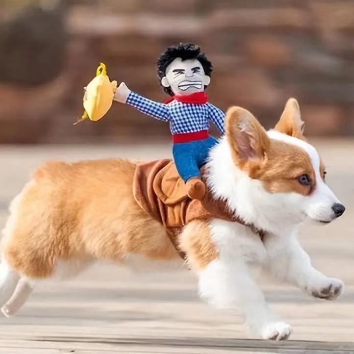 尚雅宠物狗犬舍宠物店