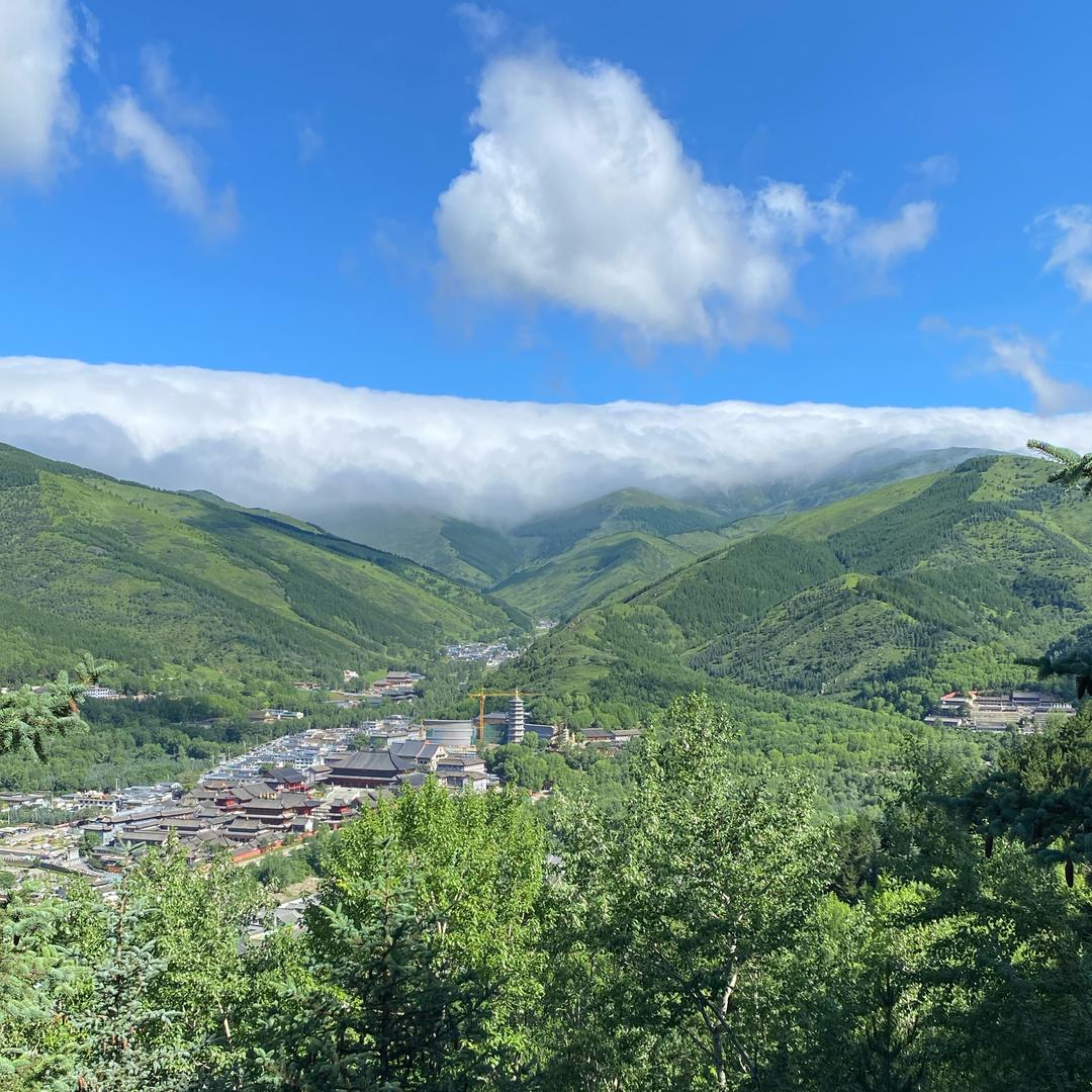晴空万李