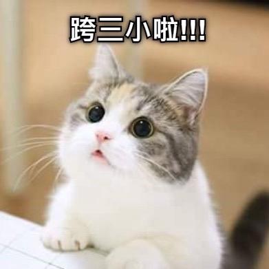 球球（封票中❌）