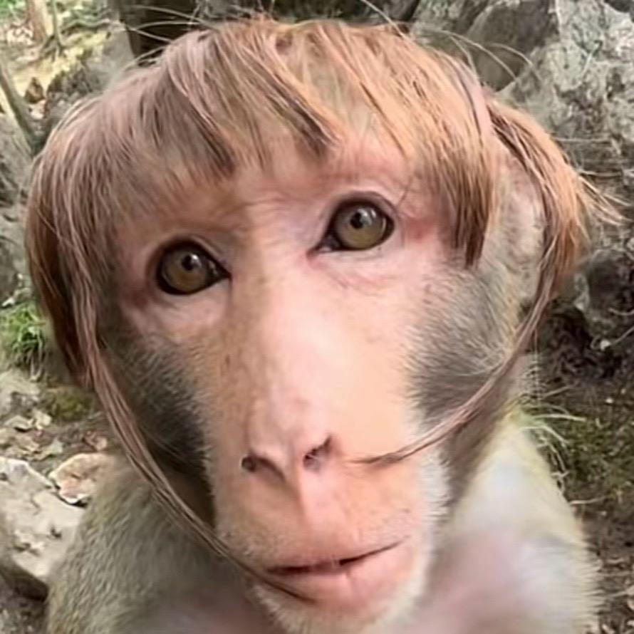 脚滑的学生党