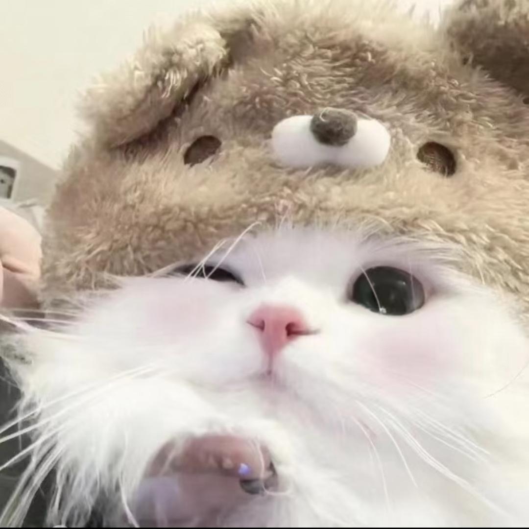 小猫牌安慕希QvQ