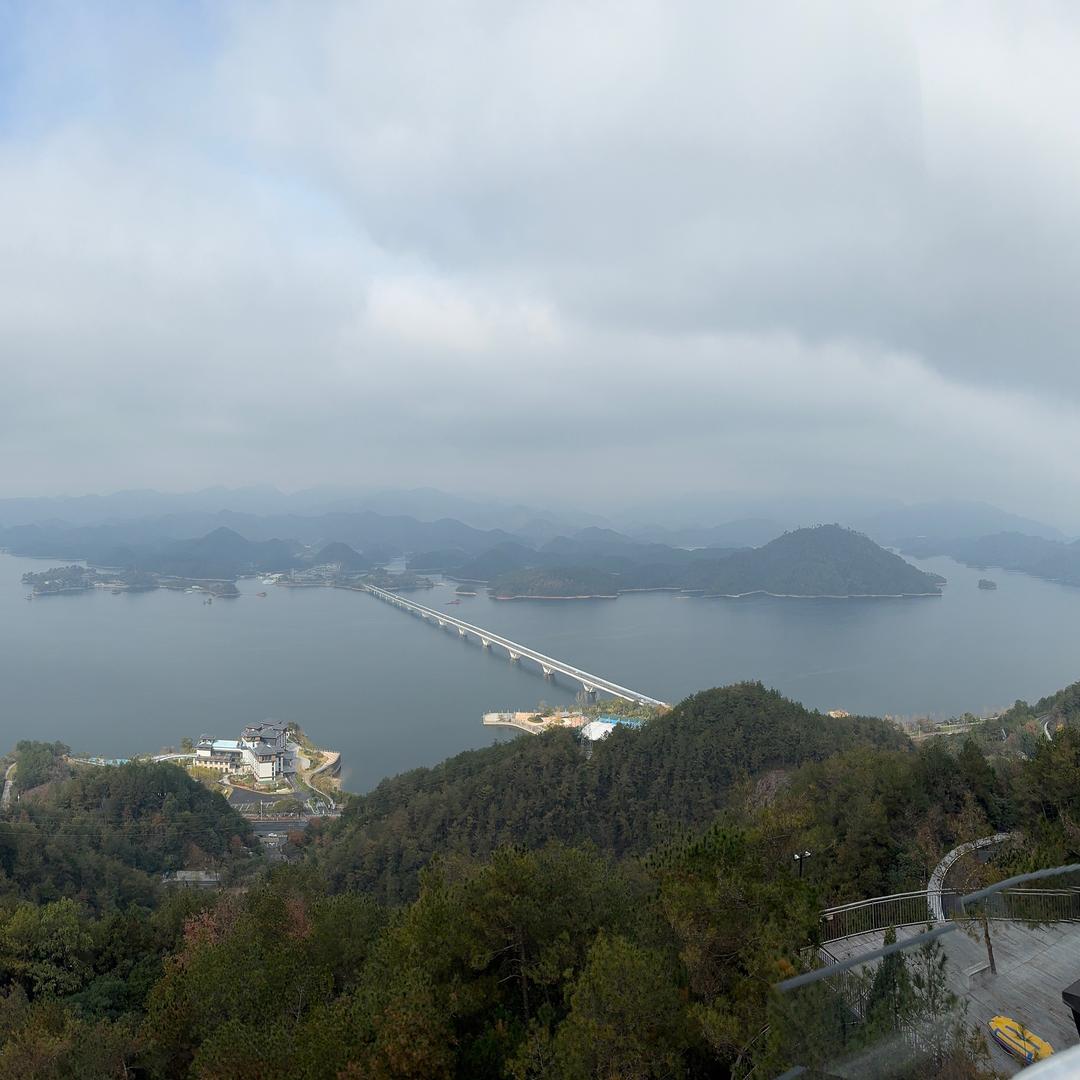 斌斌