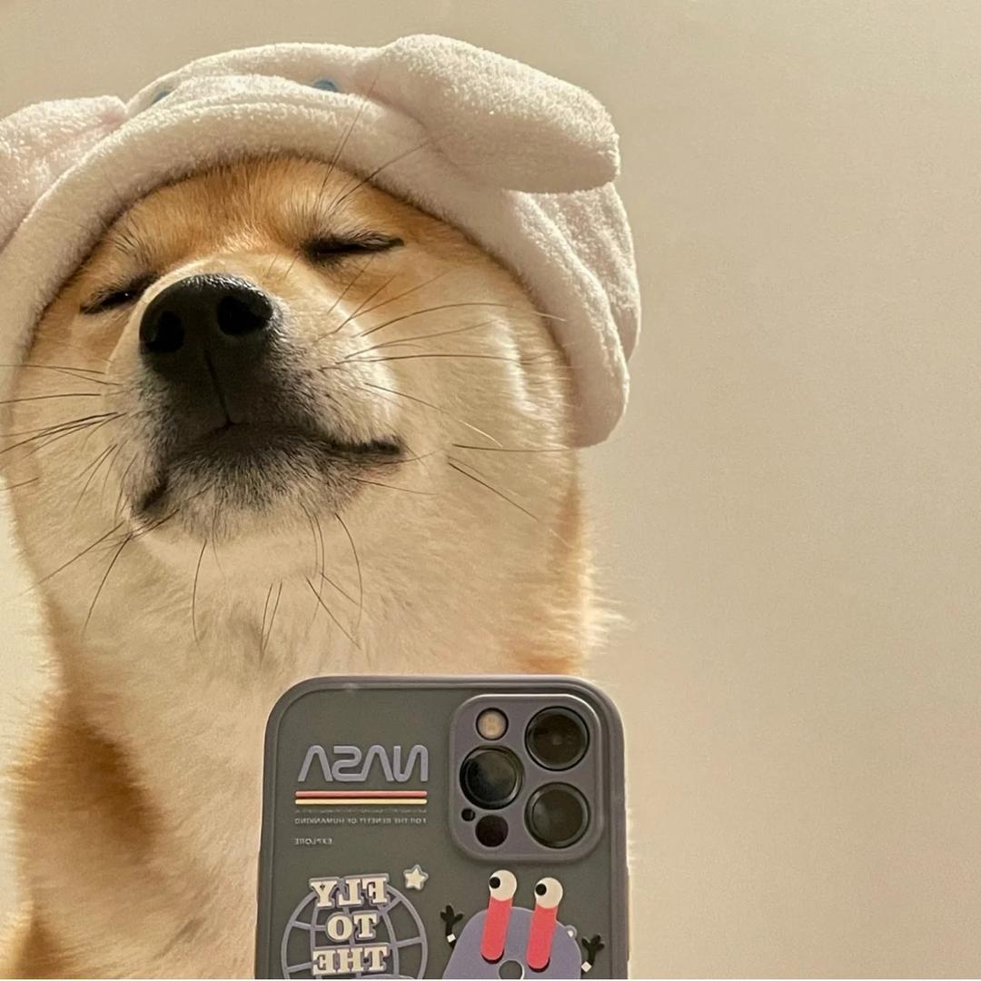 大脸猫的家(装修日记)