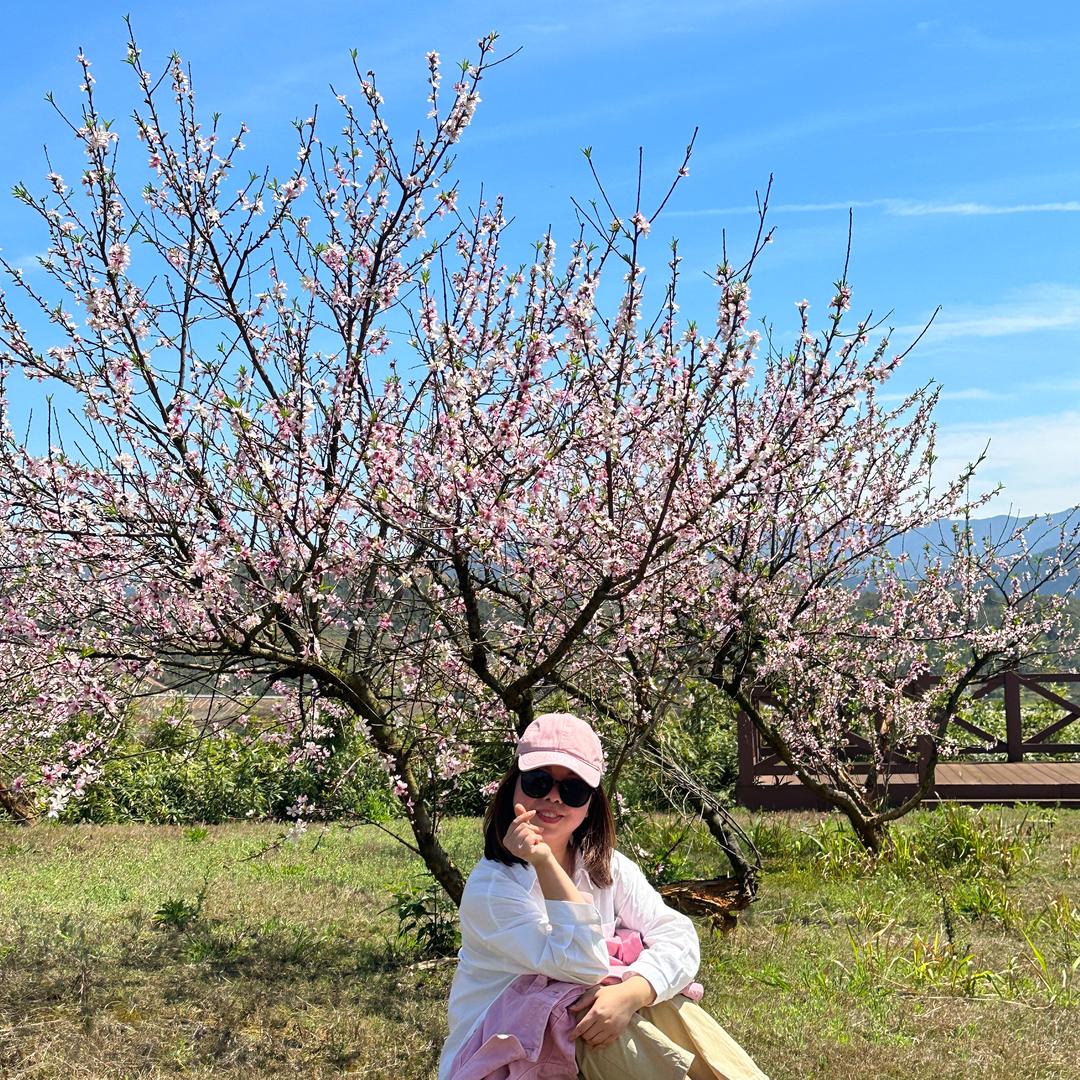 幸福装饰的“小诸葛”