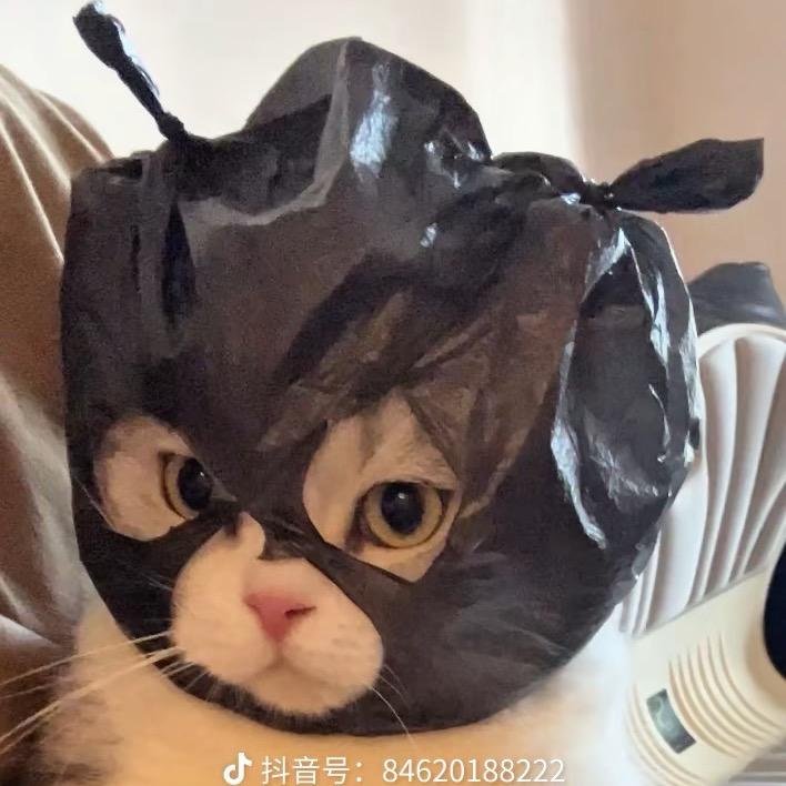 皮皮踢不是PPT