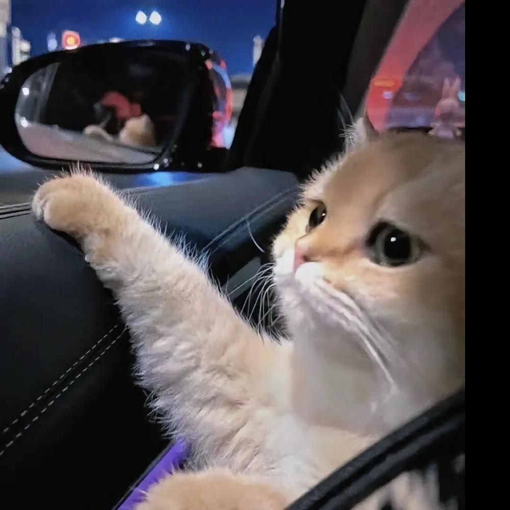 《=^^=》🙈 🥭