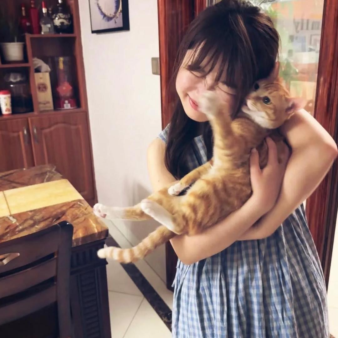 一块曲7饼