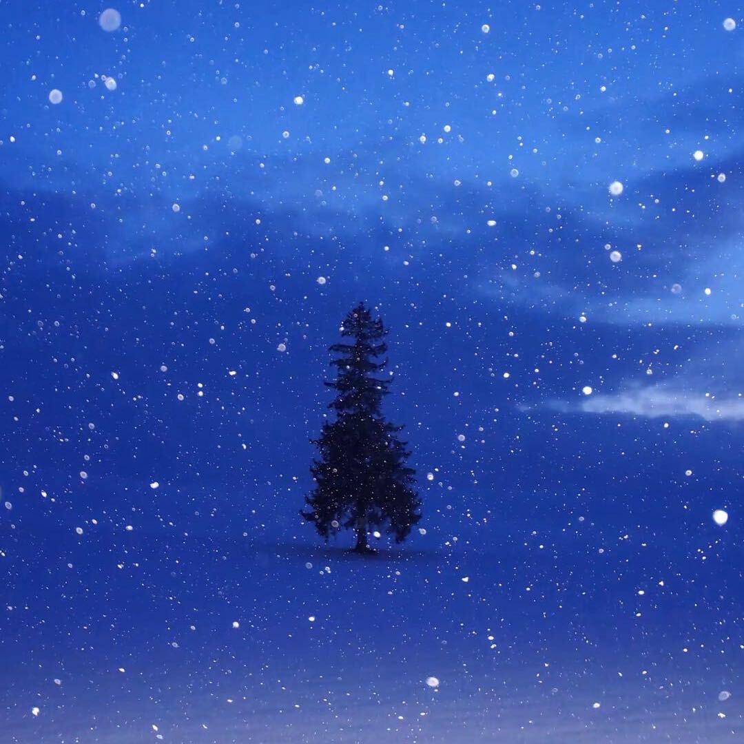 妮妮❄️