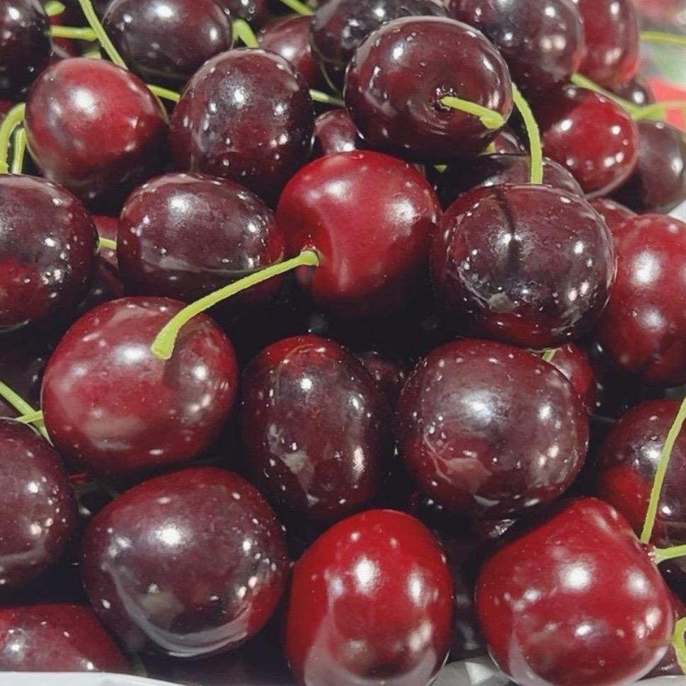 🍒超级车厘子🍒