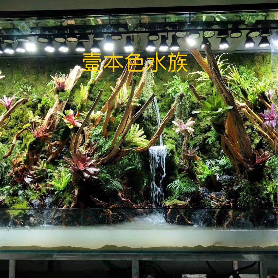 壹本色水族一站式服务（原生溪流）