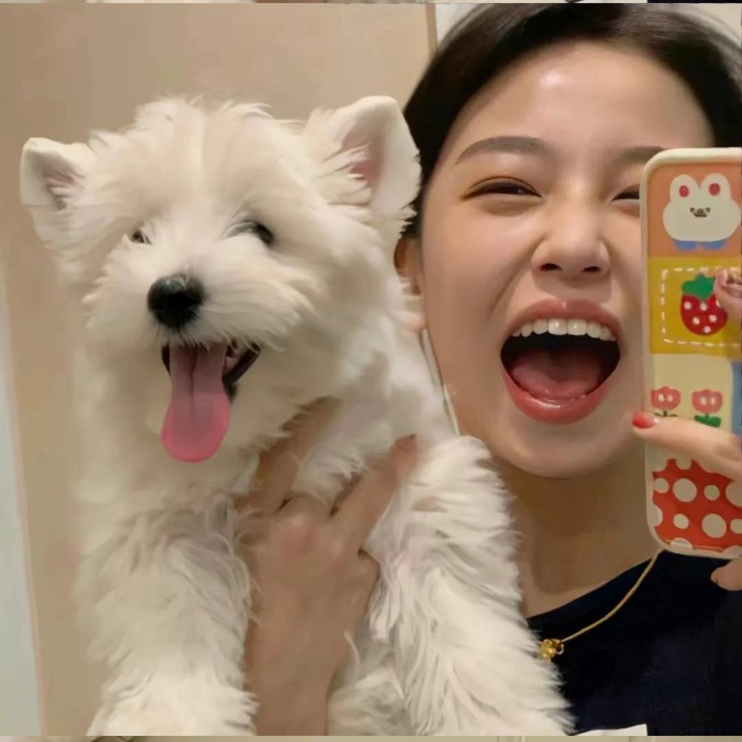 财迷心窍美少女