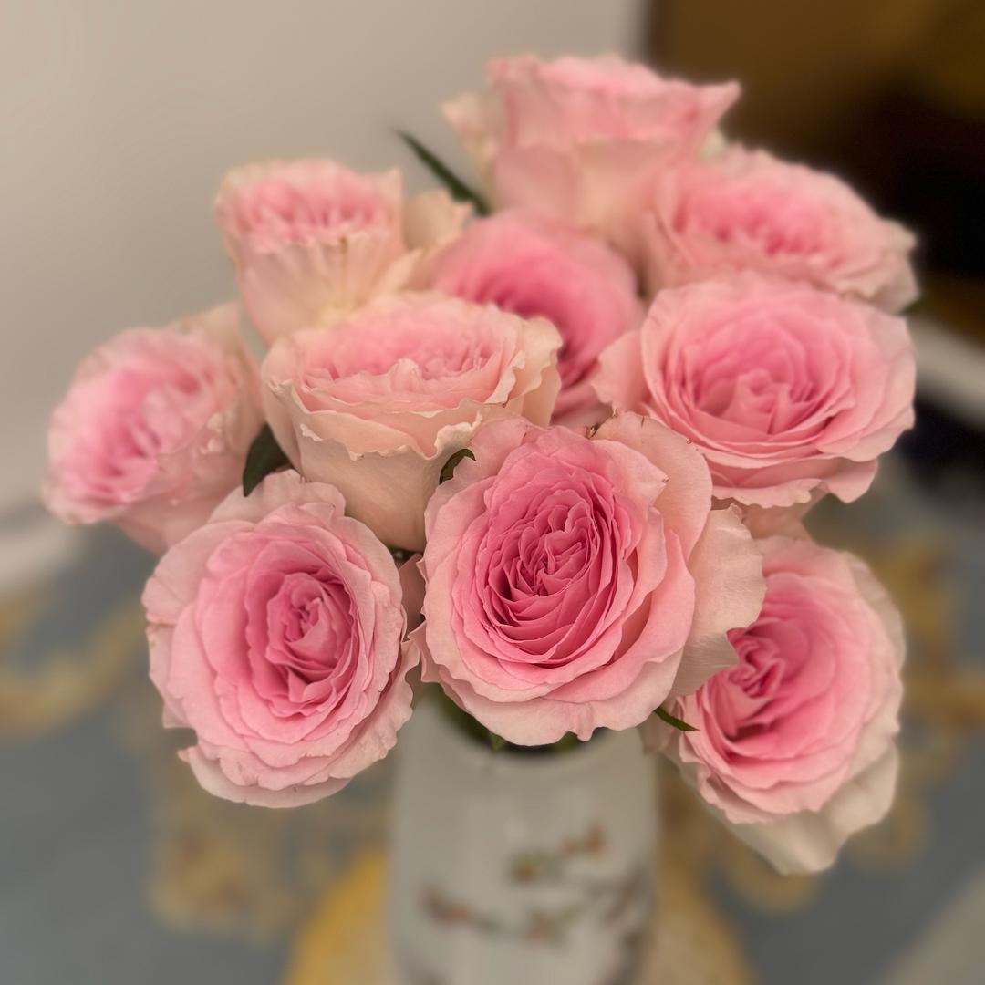 快乐之星🌟