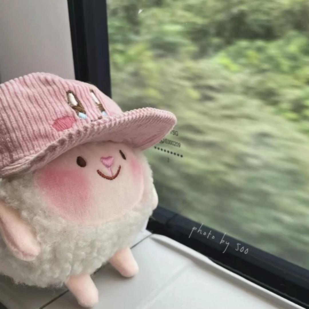 今天开心了嘛.🌷