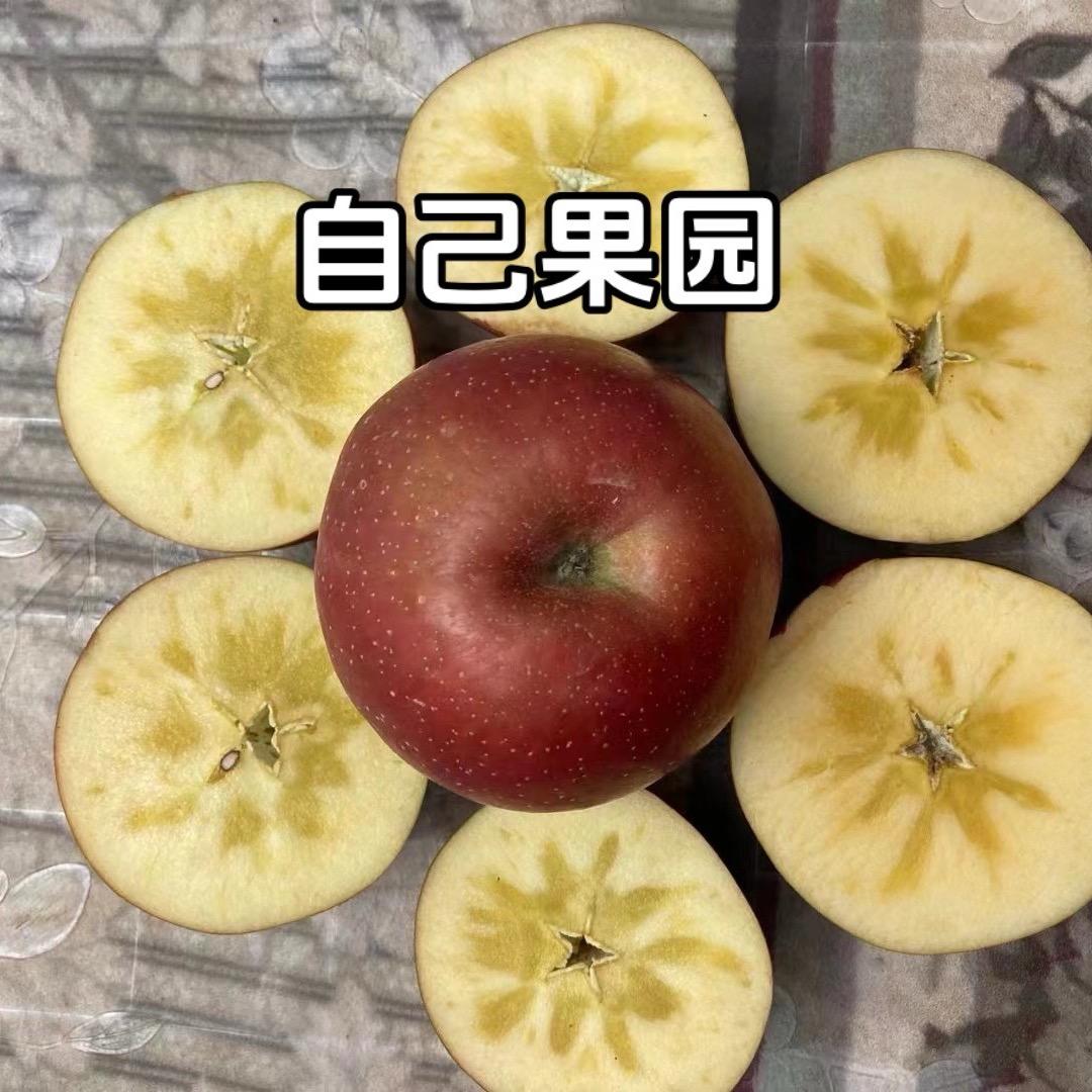 小倩的苹果日记🌸