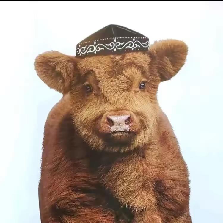 QAZAQ STYLE