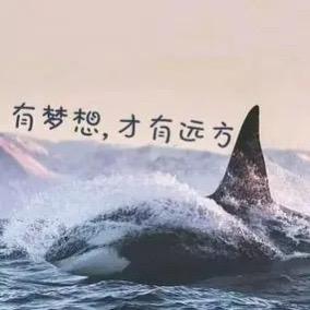 金诚